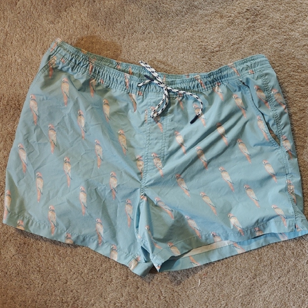 American Eagle Outfitters Blue and White Swim Shorts